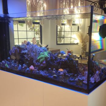 JR Reefs - Aquarium Services Near Me