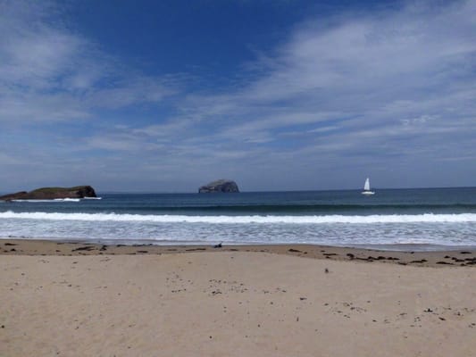 Seacliff by null