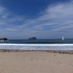 Seacliff Beach