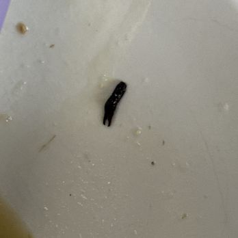 Cafe Colma - WTF IS THIS AND WHY IS IT IN OUR FOOD - Filipino Near Me - Colma, California Cafe Colma - WTF IS THIS AND WHY IS IT IN OUR FOOD - Filipino Near Me - Colma, California