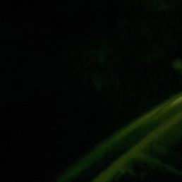 Doesn't photograph well, but imagine this blue instead of green. Doesn't photograph well, but imagine this blue instead of green.