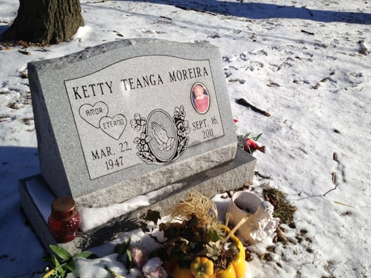 Bohemian National Cemetery by null