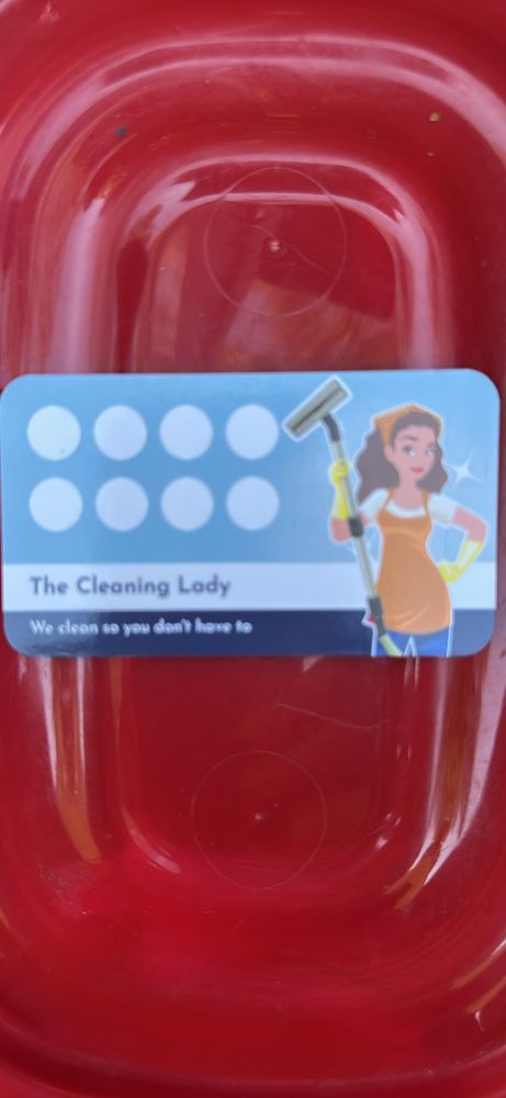 THE CLEANING LADY - Updated March 2026 - Request a Quote - Pearl River ...