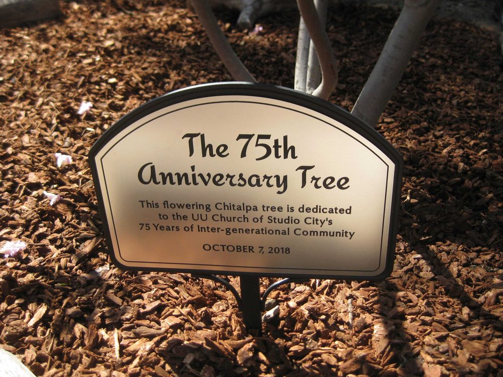 UNITARIAN UNIVERSALIST CHURCH OF STUDIO CITY 19 Photos & 10 Reviews