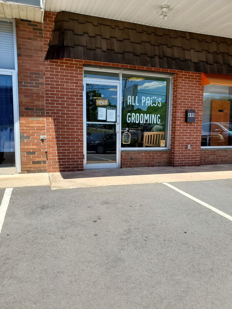 ALL PAWS GROOMING Updated June 2024 24 Photos & 20 Reviews 690