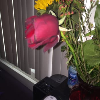 Kiki's Flowers - ): - Florists Near Me - San Diego, California Kiki's Flowers - ): - Florists Near Me - San Diego, California