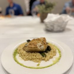 Dafina - Chilean Sea Bass