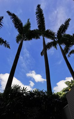 W Singapore - Sentosa Cove by null