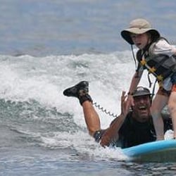 Surfer Bear Hawaii