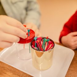 Montessori Education Centre Charter School - Main Campus