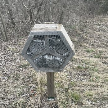 Big Bull Creek Park - Someone tell me what animal/insect these house - couple along the trails! - Parks Near Me - Edgerton, Kansas Big Bull Creek Park - Someone tell me what animal/insect these house - couple along the trails! - Parks Near Me - Edgerton, Kansas