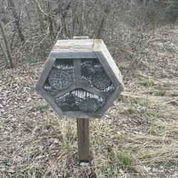 Big Bull Creek Park - Someone tell me what animal/insect these house - couple along the trails!
