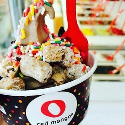 Red Mango - Frozen yogurt
