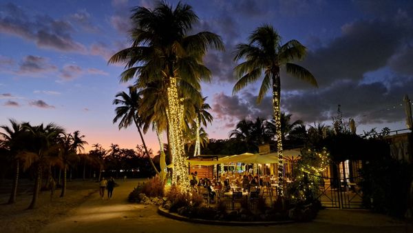 Matheson Hammock Park & Marina by null