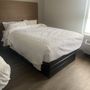 Clarion Pointe