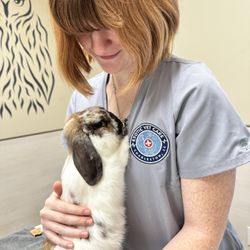 Exotic Vet Care - Jess with a rabbit.