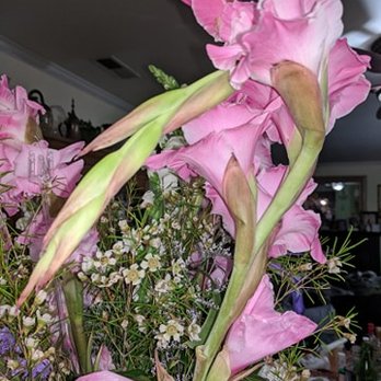 Don's Florist & Gift - Wilting tall pink flowers with brown dried out tips - Florists Near Me - Charlottesville, Virginia Don's Florist & Gift - Wilting tall pink flowers with brown dried out tips - Florists Near Me - Charlottesville, Virginia