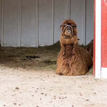 Johansen Farms - Zoos Near Me - Bolingbrook, Illinois