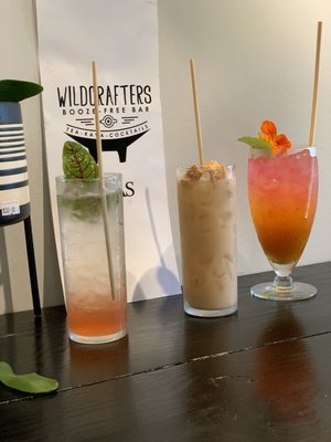 Wildcrafters Booze-Free & Kava Bar by null