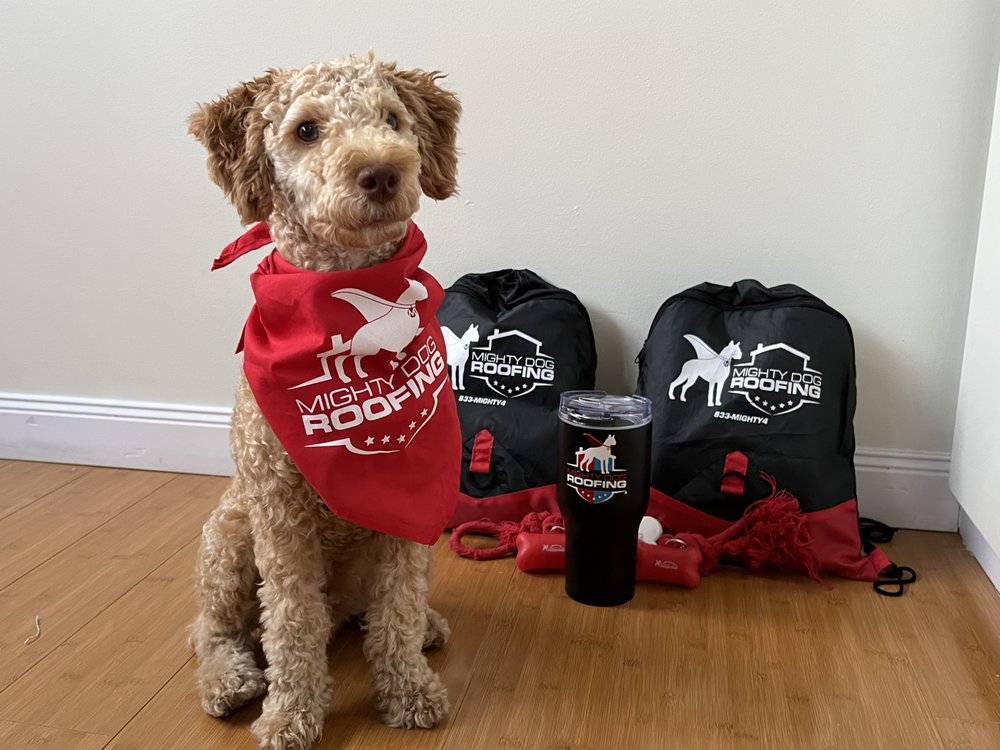 MIGHTY DOG ROOFING OF NORTH BOSTON 21 Photos 545 Concord Ave