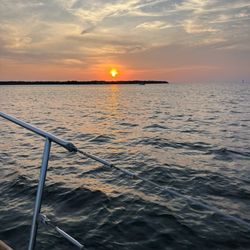 Coastal Sols
