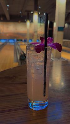 The Painted Duck by null