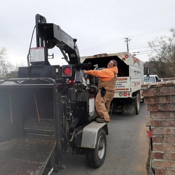 Paradise Tree Services - Tree Services Near Me - Strawberry Plains, Tennessee Paradise Tree Services - Tree Services Near Me - Strawberry Plains, Tennessee