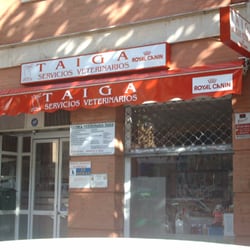 Taiga