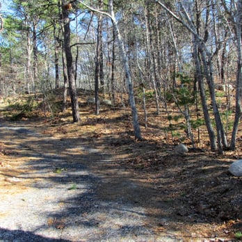 Princess Beach Conservation Area - Very easy trails to hike - Parks Near Me - Dennis, Massachusetts