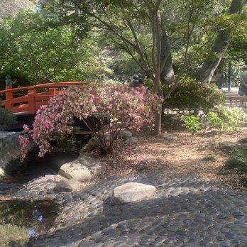 Descanso Gardens - Botanical Gardens Near Me - La Canada Flintridge, California Descanso Gardens - Botanical Gardens Near Me - La Canada Flintridge, California