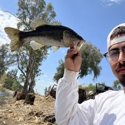 Little Lake - Fish