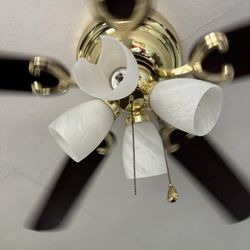 Gold Inn - Broken glass on fan