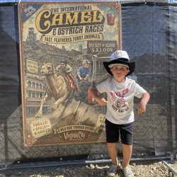 International Camel & Ostrich Races