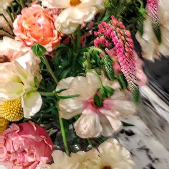 The Original Caffe Boa - Fresh flowers in restroom! - New American Near Me - Tempe, Arizona