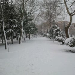 Avcılar Yerleşkesi