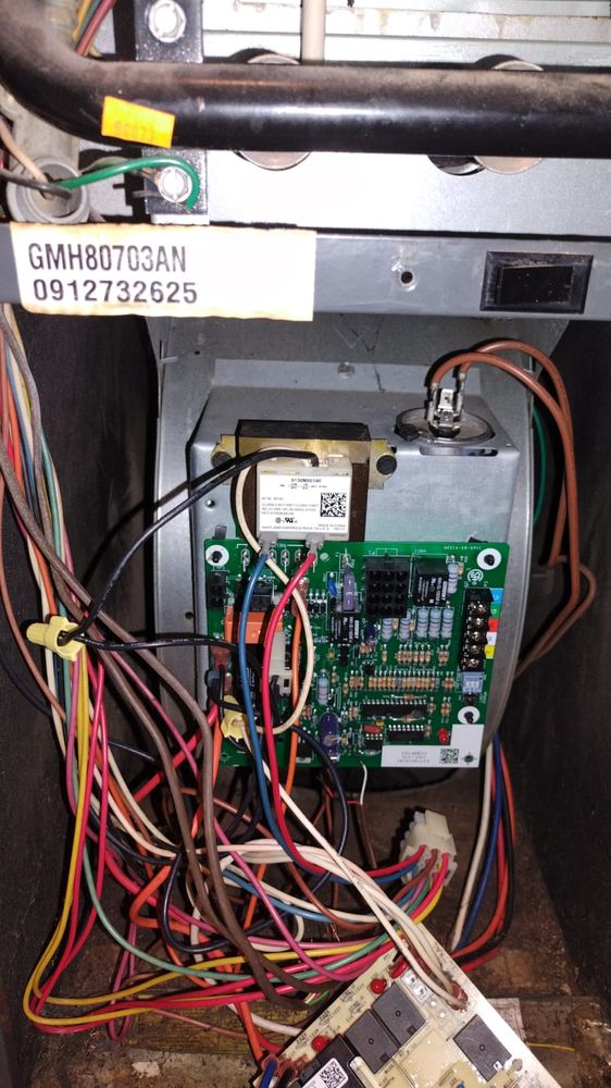 Slide of Lil Joker Maintenance