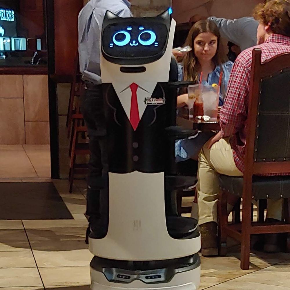 Mi Pueblo - Robot waiter assistant food server - Tex-Mex Near Me - Corinth, Mississippi Mi Pueblo - Robot waiter assistant food server - Tex-Mex Near Me - Corinth, Mississippi