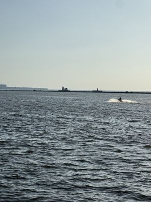 Voinovich Bicentennial Park by null