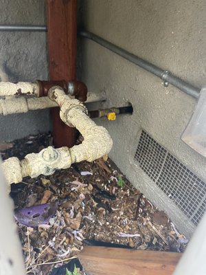 Winter Rodent Activity - During the colder times rodent activity increases as rats and mice are looking for warmer environments. APTC specializes in handling rodent issues. With our creative, effective, and affordable exclusion techniques along with our aggressive trapping services you won't be bothered for long. You can be proactive and have us look at your home before you get a problem also - NO CHARGE! Call us now to schedule your service visit!! Winter Rodent Activity - During the colder times rodent activity increases as rats and mice are looking for warmer environments. APTC specializes in handling rodent issues. With our creative, effective, and affordable exclusion techniques along with our aggressive trapping services you won't be bothered for long. You can be proactive and have us look at your home before you get a problem also - NO CHARGE! Call us now to schedule your service visit!!