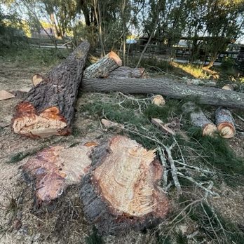 Fine Tree Care - Tree Services Near Me - Sebastopol, California