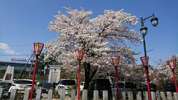 Kaiseizan Park by null