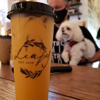 Leafy - Asian Fusion Near Me - Pembroke Pines, Florida Leafy - Asian Fusion Near Me - Pembroke Pines, Florida