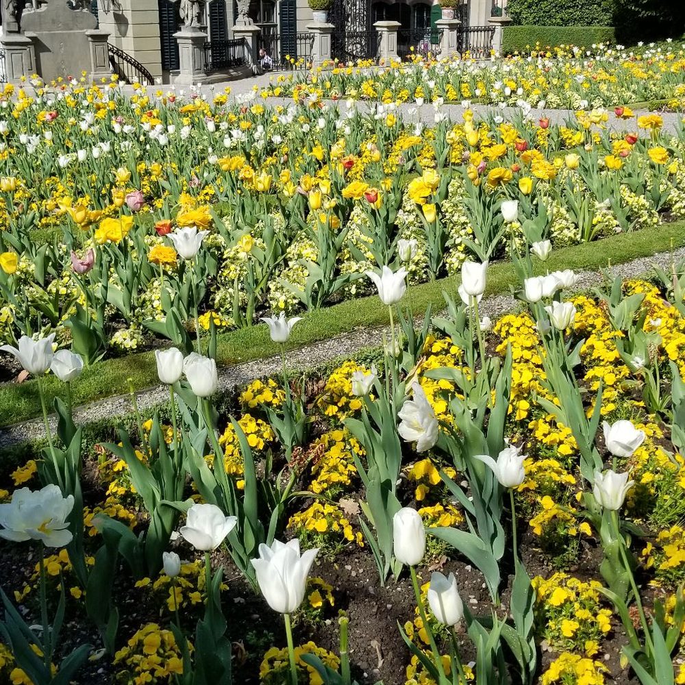 Rechberggarten - Parks Near Me - Zürich, ZH Rechberggarten - Parks Near Me - Zürich, ZH