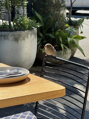 Odettes Eatery by null