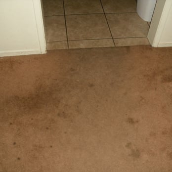 Freedom Clean - entrance into the kitchen - Carpet Cleaning Near Me - Albert Lea, Minnesota Freedom Clean - entrance into the kitchen - Carpet Cleaning Near Me - Albert Lea, Minnesota