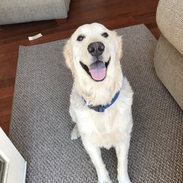 My boy, Peter My boy, Peter