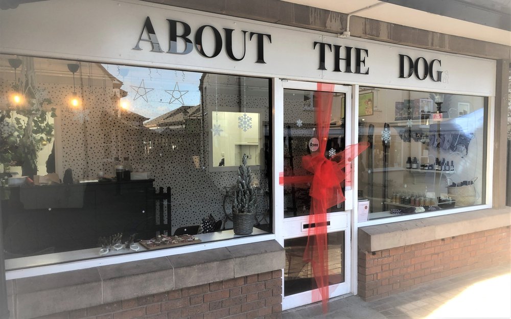 ABOUT THE DOG Updated August 2024 Request an Appointment 14 St