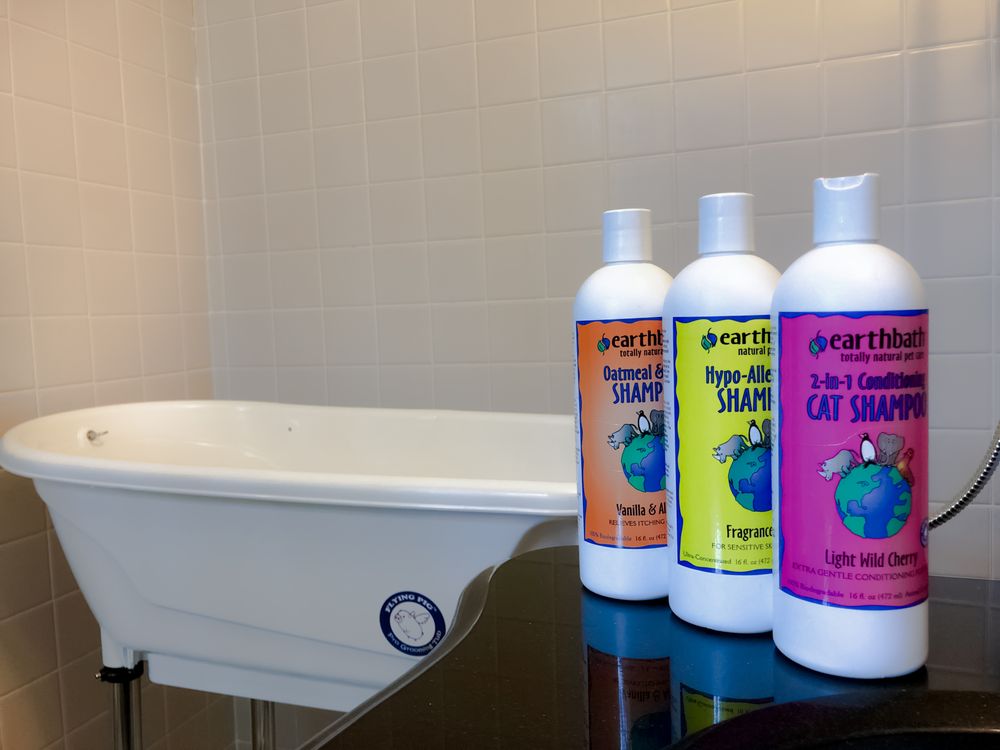 Hotel Catifornia - pet boarding facility in Warrington, PA