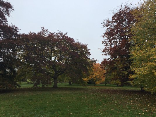 Cambridge University Botanic Garden by null