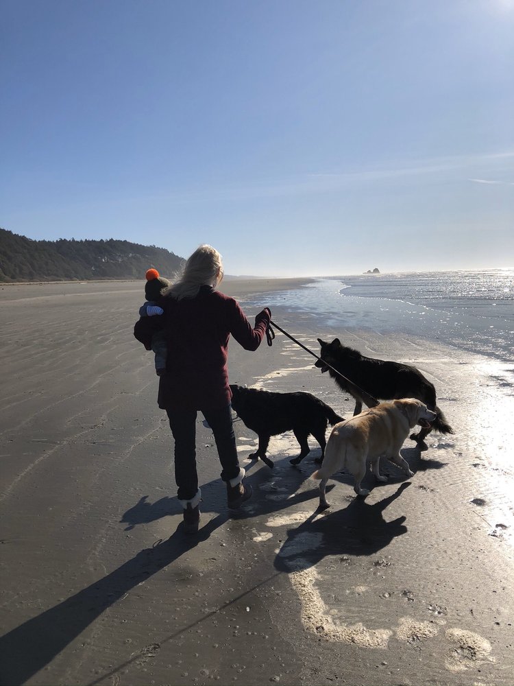 LINDA’S FOUR PAW SPA 22 Photos & 22 Reviews 1004 Cedar Ave